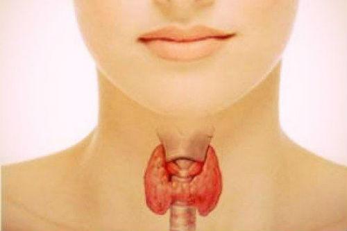 Щитовидная железа: лечение народными средствами