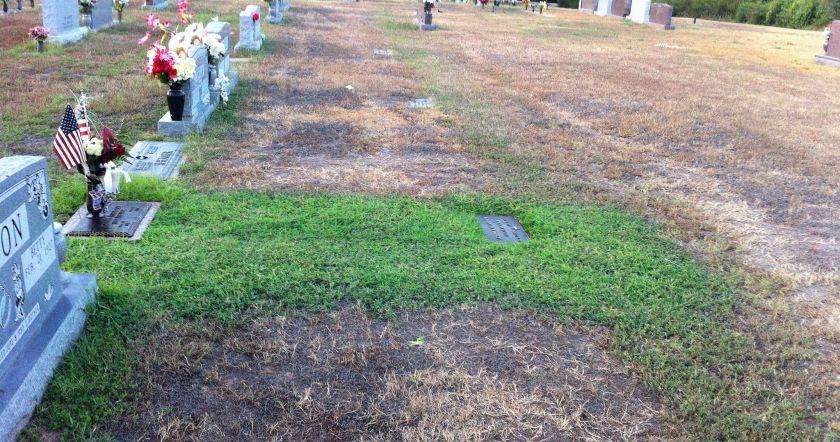 Ամուսինները նկատել էին, որ իրենց որդու գերեզմանաթմբի խոտը կանաչ է մնում․ Երբ նրանք իմացան պատճառը, ուղղակի ապշեցին