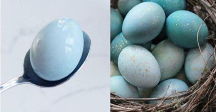 Как красить яйца на Пасху своими руками