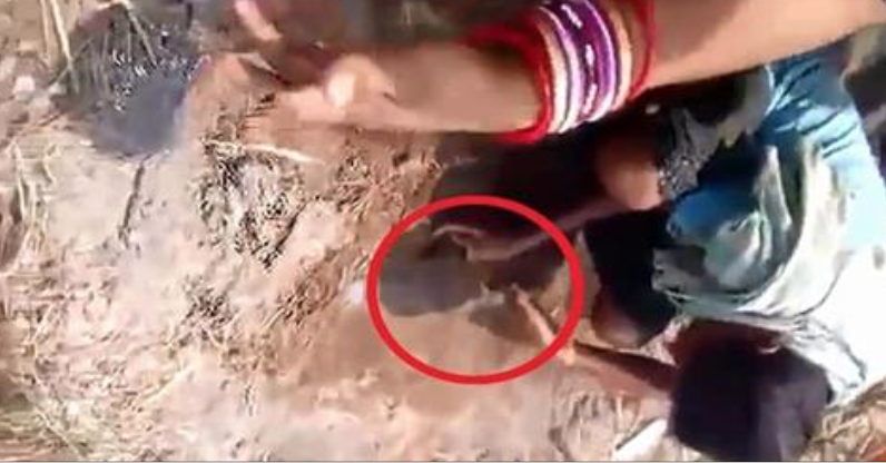 Играя в песке, дети увидели торчащие из земли маленькие ножки. Вот что они нашли, когда начали копать…