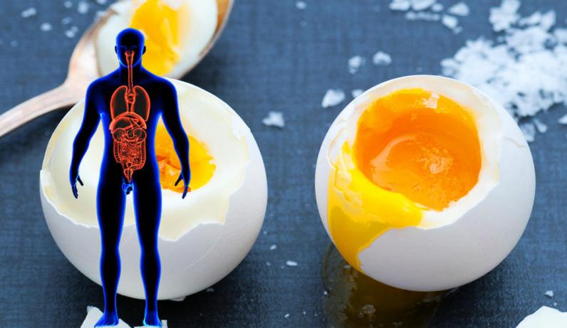 Ահա, թե ինչ տեղի կունենա ձեր օրգանիզմի հետ, եթե ամեն օր 3 հատ ձու ուտեք. 3 հատ՝ ոչ ավել, ոչ էլ պակաս