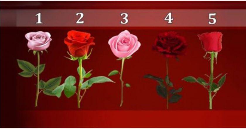 ԹԵՍՏ. Ե՞րբ կիրականանա ձեր ցանկությունը. ընտրեք վարդն ու կիմանաք