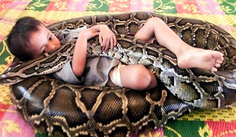 Այս հսկայական օձը փաթաթվեց երեխային.տեսեք,թե ինչ եղավ վայրկյաններ անց (տեսանյութ նյարդերից ուժեղ մարդկանց համար)