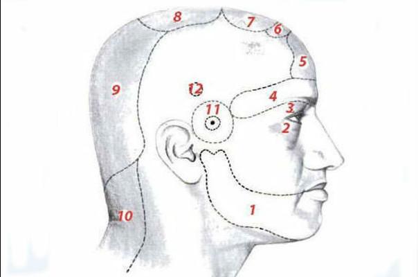 Ինչո՞վ կարող են պայմանավորված լինել գլխի տարբեր հատվածների մշտական ցավերը