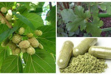 A Plant That Grows Everywhere. It Can Treat Tumors, Hypertension And Diabetes And You Didn’t Know This!