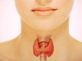Щитовидная железа: лечение народными средствами