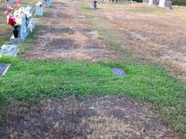 Ամուսինները նկատել էին, որ իրենց որդու գերեզմանաթմբի խոտը կանաչ է մնում․ Երբ նրանք իմացան պատճառը, ուղղակի ապշեցին