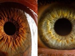 Ի՞նչ է հուշում մարդկանց աչքերի գույնը նրանց մասին. արդյո՞ք բնավորությունը կապ ունի սրա հետ
