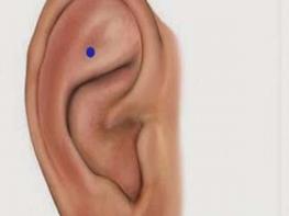 Ի՞նչ տեղի կունենա ձեր օրգանիզմի հետ, եթե մերսեք ականջի այս կետը․ Ապշեցնող է  