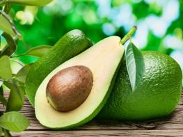 Отвар косточки авокадо — суперпродукт для вашего здоровья