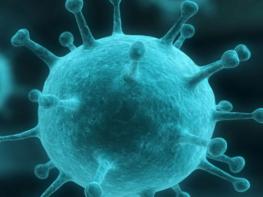 Ученые обнаружили тысячи неизвестных вирусов