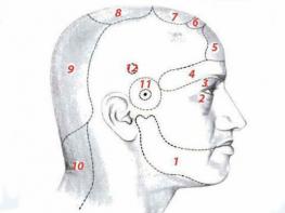 Ինչո՞վ կարող են պայմանավորված լինել գլխի տարբեր հատվածների մշտական ցավերը
